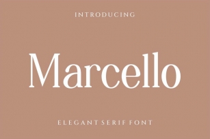 Marcello Serif Font Font Download
