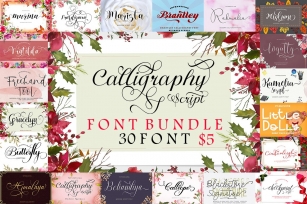 Calligraphy Script Bundle Font Download