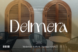 Modern & Aesthetic - Delmera Font Font Download