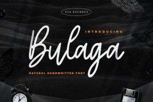 Bulaga - Minimalist Handwritten Font Font Download