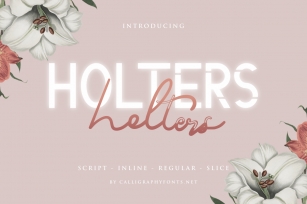 Holters Scrip Font Download