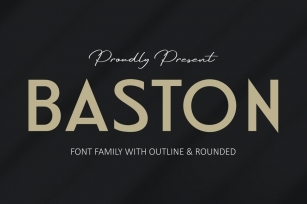 BASTON Business Sans Font Font Download