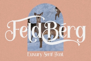 Feldberg Font Download
