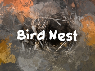 B Bird Nes Font Download
