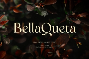 Bella Queta Serif Font Download