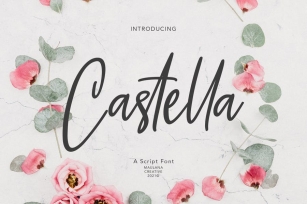 Castella Script Font Font Download