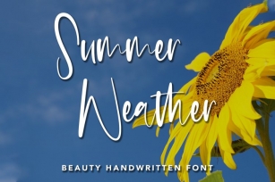 Summer Weather Font Download