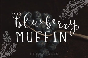 Blueberry Muffin Duo Font Download
