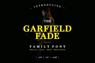 Garfield Fade Family Font Download