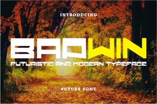 Badwin Font Download