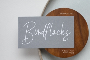 Birdflocks Script Font Font Download