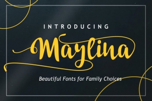 DS Marlina - Beautiful Fonts Font Download