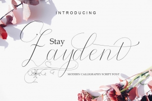 Stay Zaydent Font Download