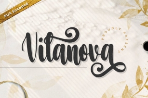 Vilanova - Swash Calligraphy Font Font Download