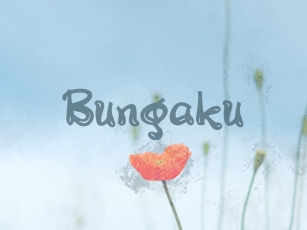 B Bungaku Font Download