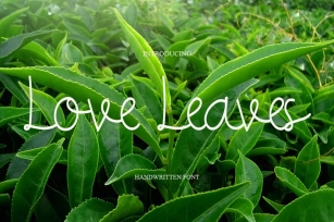 Love Leaves Font Download