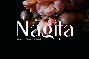 Nagita Sans Serif Font Font Download