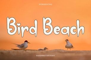 Bird Beach Font Download