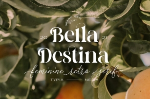 Bella Destina - Beauty Romantic Serif Font Font Download