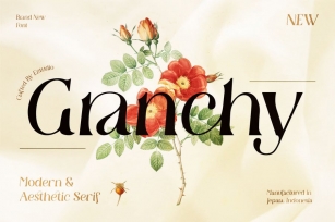 Modern and Aesthetic Serif - Granchy Font Download