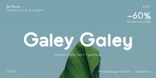 Galey Font Download