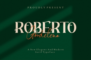 Roberto - Duo Typeface Font Download