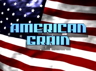 American Grai Font Download