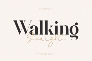 Walking Straight Font Download