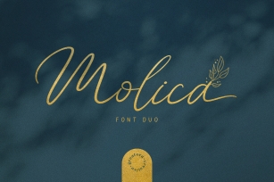 Molica Duo Font Download
