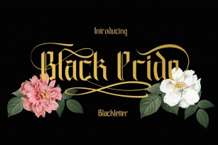 Black Pride Font Download