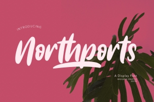 Northports Display Font Download
