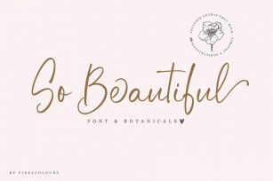 So Beautiful Font and Botanicals Font Download