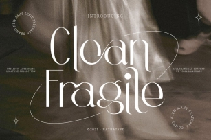 Clean Fragile Font Download