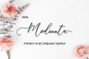 Modennta Script Font Download