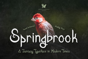 Springbrook Font Download