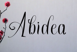 Abidea Font Download