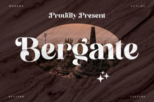 Bergante Classy Serif Font LS Font Download