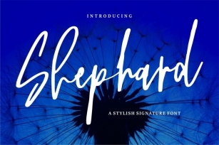 Shephard Font Download