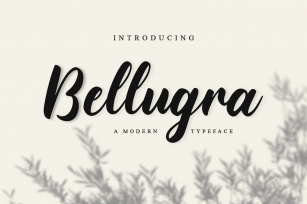 Bellugra Font Download