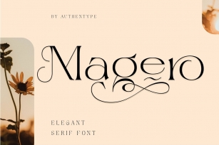 Magero Elegant Serif Font Download