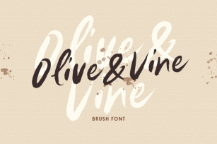 Olive & Vine - Brush Font Font Download