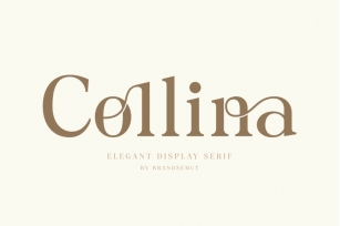 Collina // Ligature Serif Font Font Download