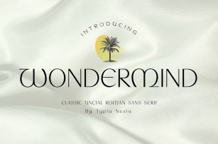 Wondermind - Classic Aesthetic Beauty Sans Serif Font Download