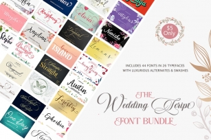 The wedding Script Bundle Font Download