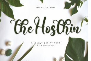 The Hosthin Font Download