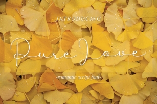 Pure Love Font Download