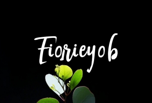 Fiorieyob Font Download