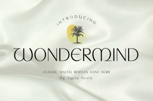Wondermind Font Download