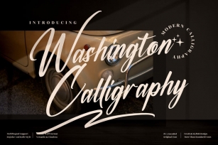 Washington Calligraphy Font LS Font Download