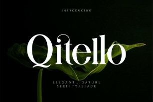 Qitello Ligature Serif Typeface Font Download